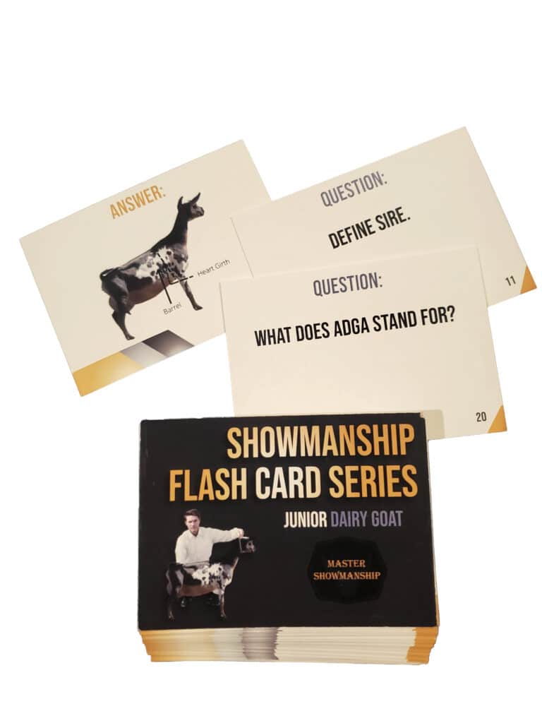 Showmanship Flash Card Series Junior Dairy Goat Master Showmanship