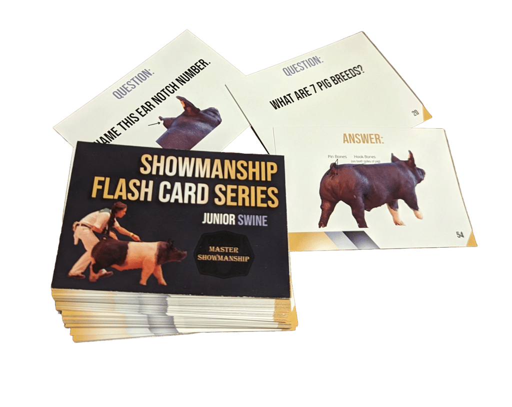 Showmanship flash card series junior swine master showmanship